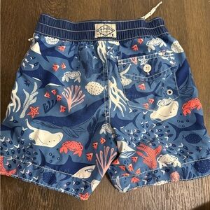 Kids Ocean Adventure Swim Shorts
